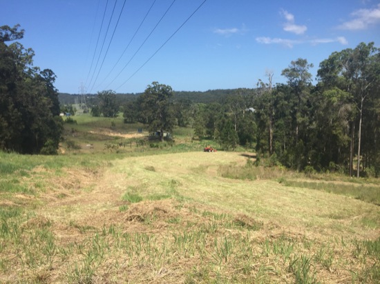 The grass on the left was previously slashed. You can see huge clumps of cut grass that’s ugly and causes all sorts of issues for regeneration.