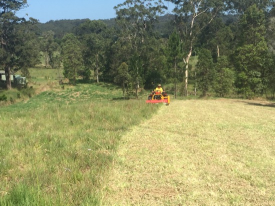 The grass on the right has been mulched with our flail mower. There are no windrows and the finish is awesome – as close to a lawn finish you’ll get on a first cut.